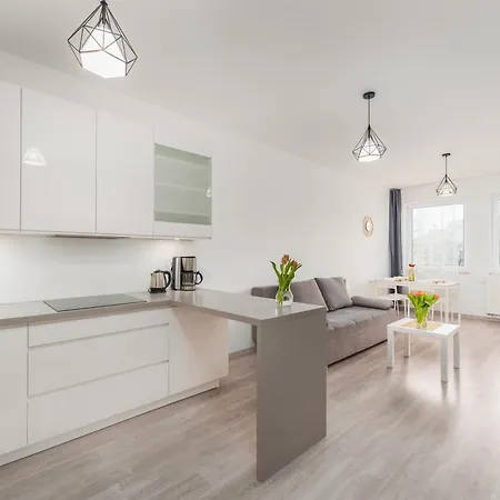 Apartament Miodowy Dom Apartment